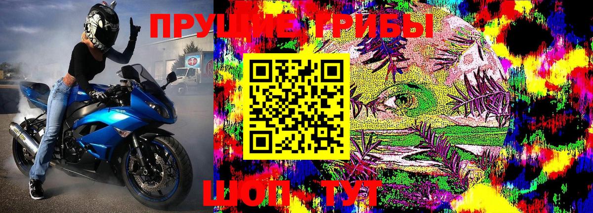 Псилоцибиновые грибы Psilocybe Ржев